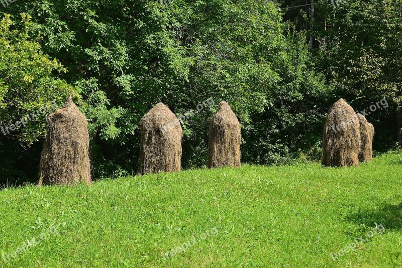 Hay Haystacks Meadow Summer Free Photos