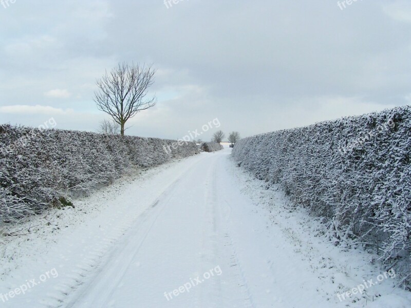 Snow Lane Road Landscape Winter