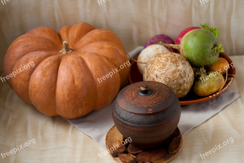 Pumpkin Pot Celery Radishes Autumn