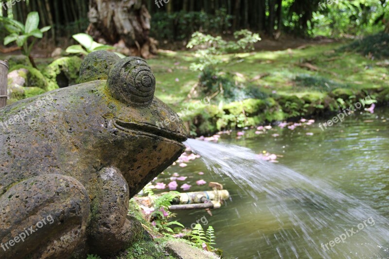 Frog Statue Pond Water Fountain Toad