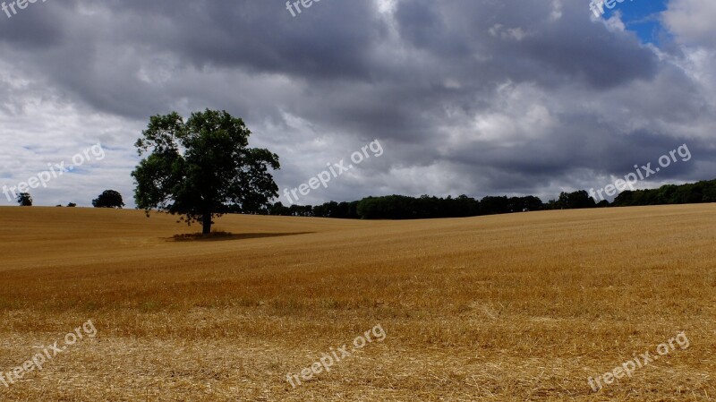 Landscape Sky Countryside Summer Field