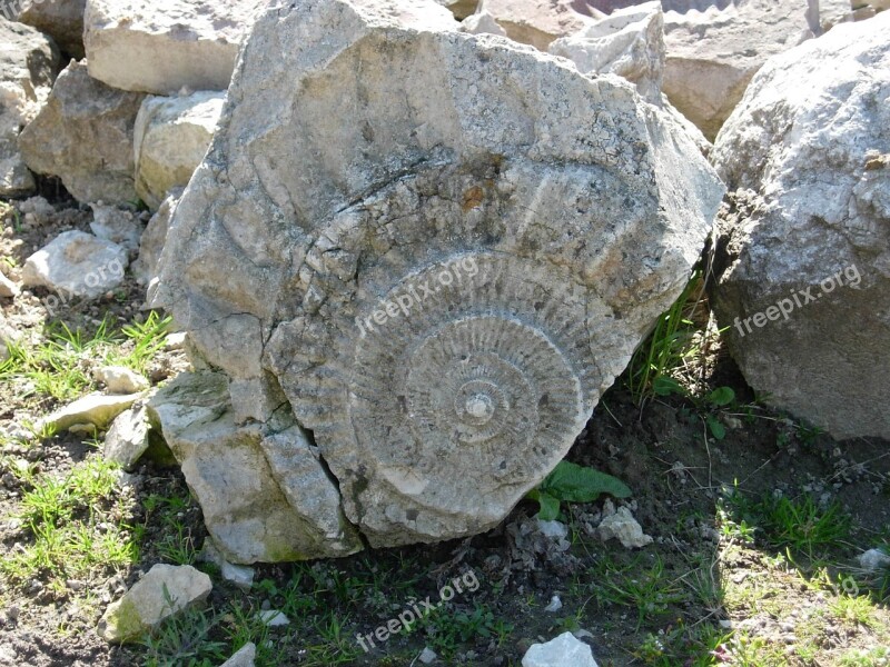 Fossil Nature Park Rocks Free Photos