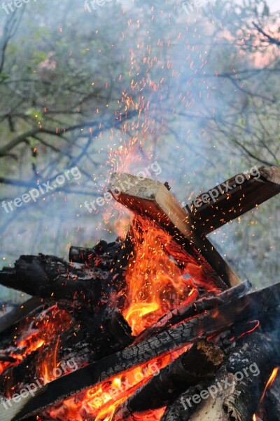 Koster Spring Firewood Fire Burns