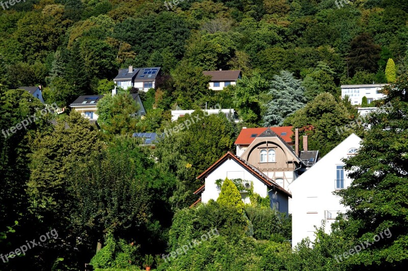 Heidelberg Live Houses Forest Architecture