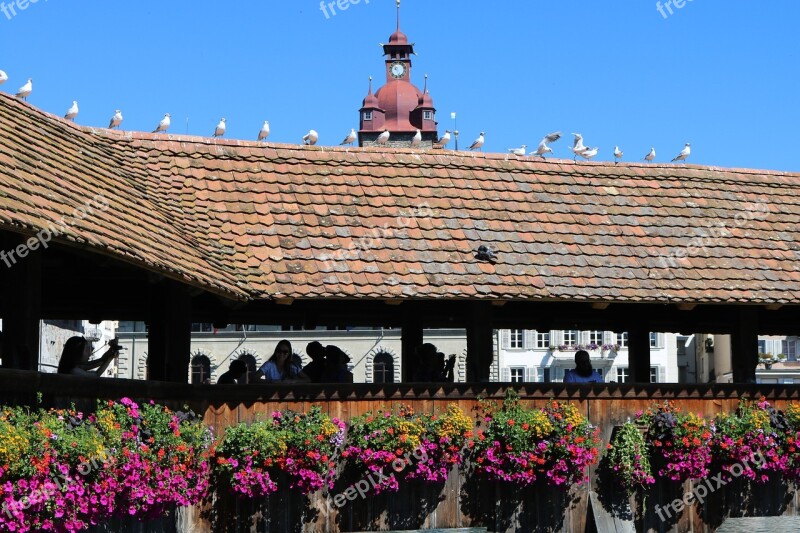 Lucerne Switzerland Bridge Florida Free Photos