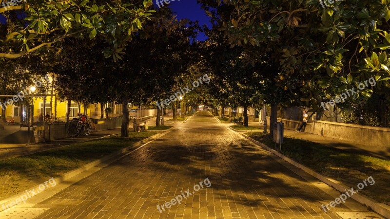 Perspective View Dark Night Photograph Avenue