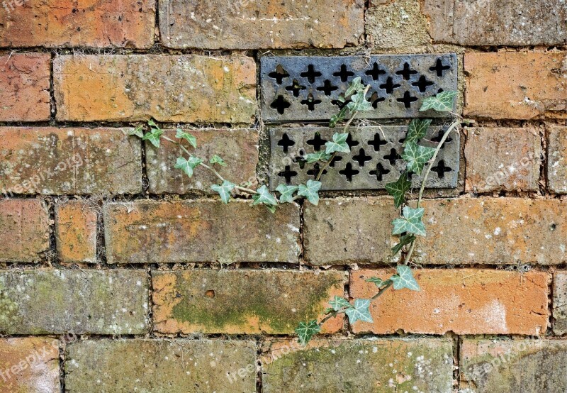 Brick Wall Ivy Ventilator Neglect