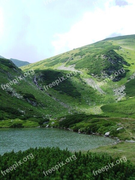 Tarn Mountains Cathy R Mountains Water Törpefenyves