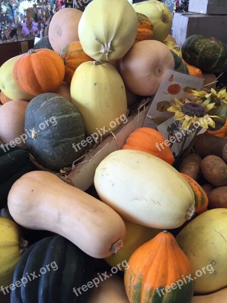 Pumpkin The Pumpkin Orange Pumpkin Vegetables Free Photos