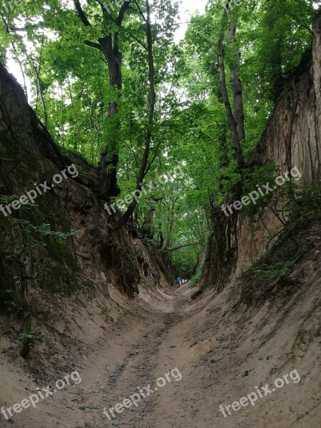 Gorge St Jadwigi Sandomierz Holidays Summer Trek Poland