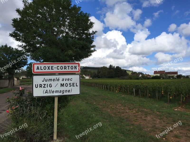 Burgundy Wine Corton Vineyard Chardonnay