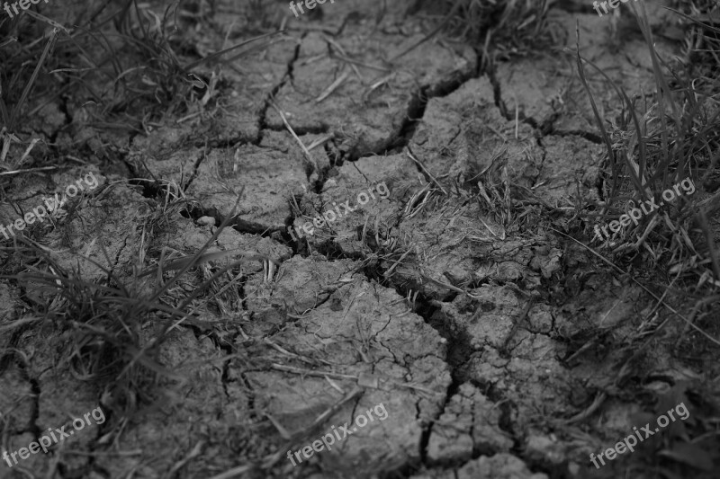 Drought Cracks Dehydrated Dry Earth