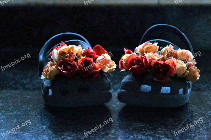 Crocks Creative Flowers Free Photos