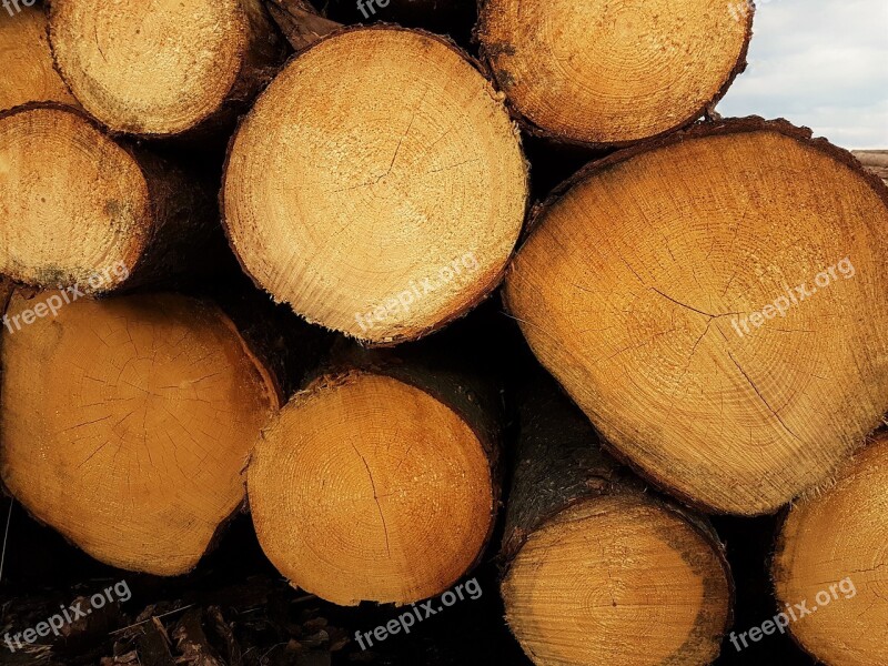 Wood Holzstapel Storage Tree Strains