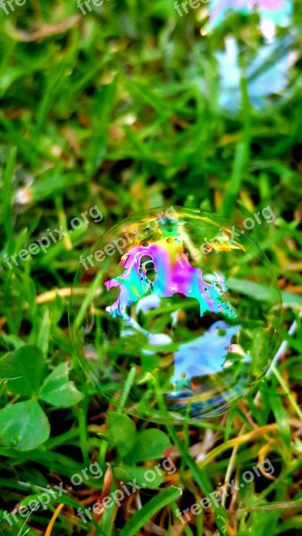 Bubble Colour Grass Water Baby