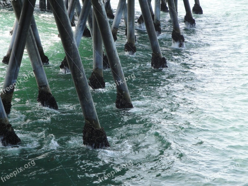 Beach Harbor Redondo Beach Pier Free Photos