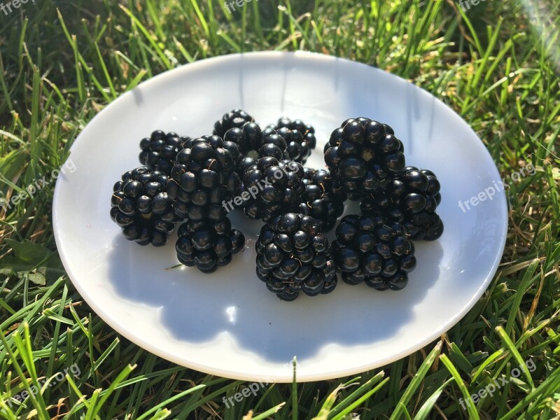 Blackberries Plate Grass Green Fruit