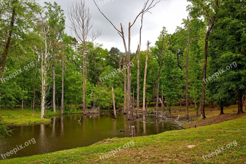 Alabama Pond Water Reflections Landscape