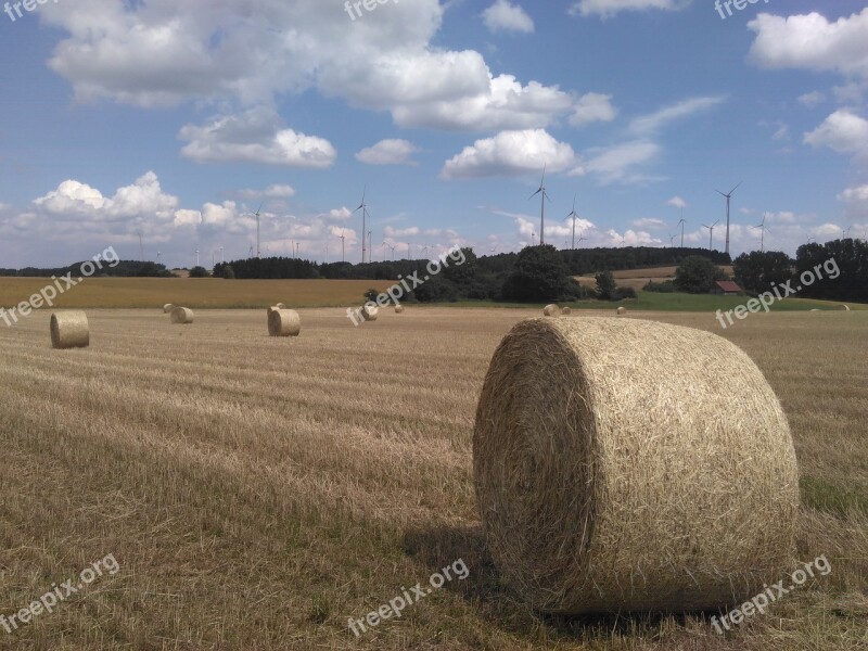 Round Bales Straw Field Harvest Agriculture