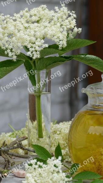 Elder Tee Stone Wood Flowers