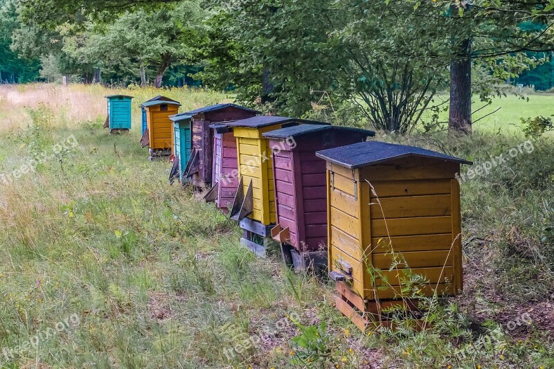 Hive Beehive Honey Apiary Bees