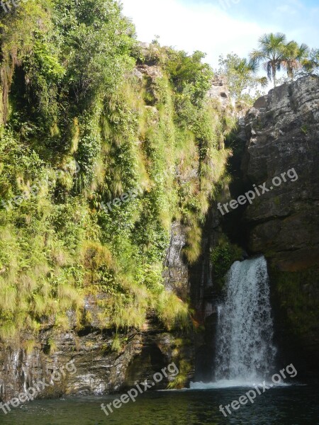 Flowers Nature Green Forest Waterfalls