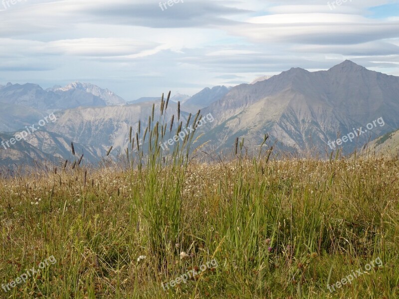 Mountain Scenery Crazy Herbs Southern Alps Barcelonette Free Photos