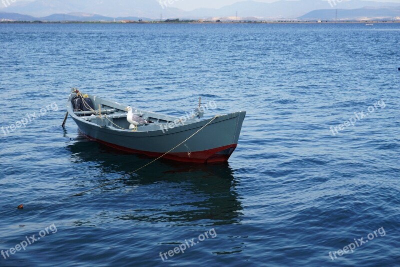 Boat Sea Blue Colors Seagull