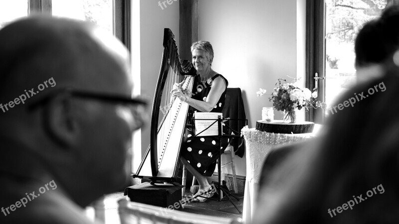 Harp Black And White Instrument Music Black