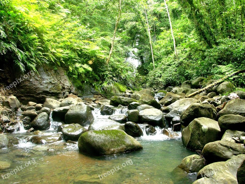 Nature River Cocos Costarica Puntarenas