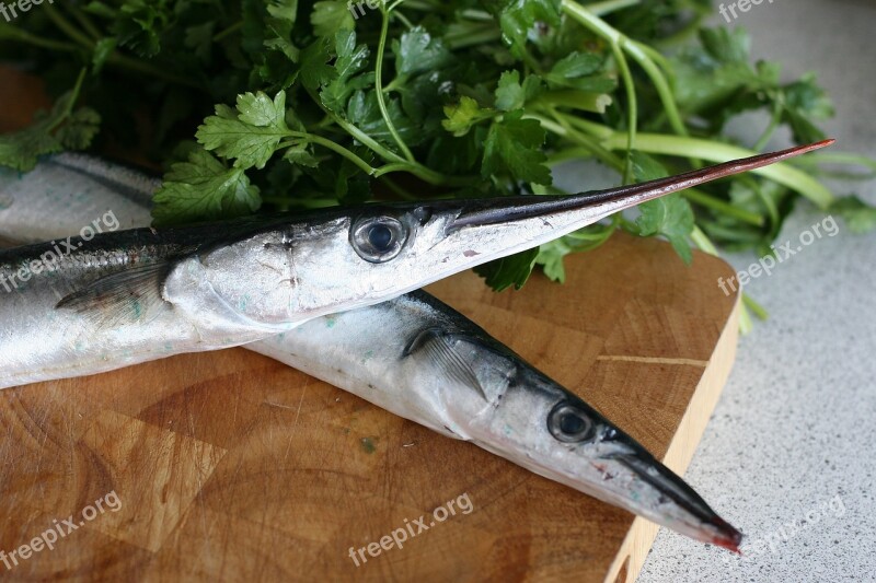 Garfish Fish Spring Dining Parsley