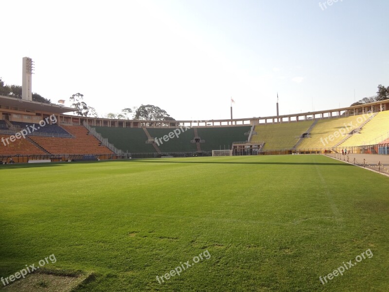 Lawn Football Stadium Pacaembu São Paulo Free Photos