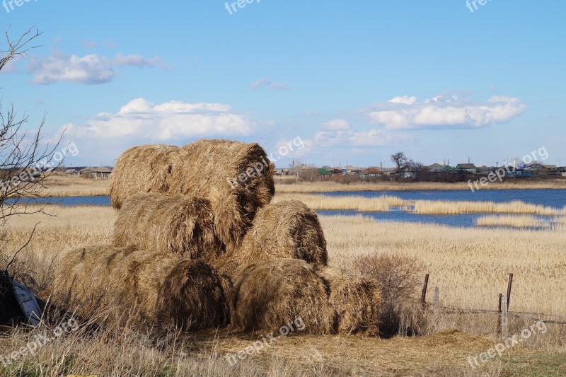 Hay Field Village Nature Haymaking