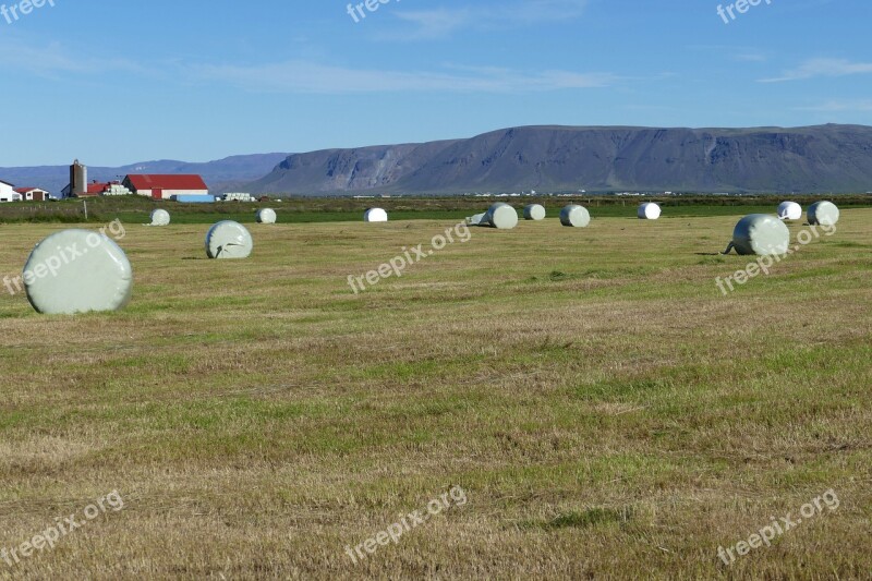 Iceland Landscape Nature Mountains Agriculture