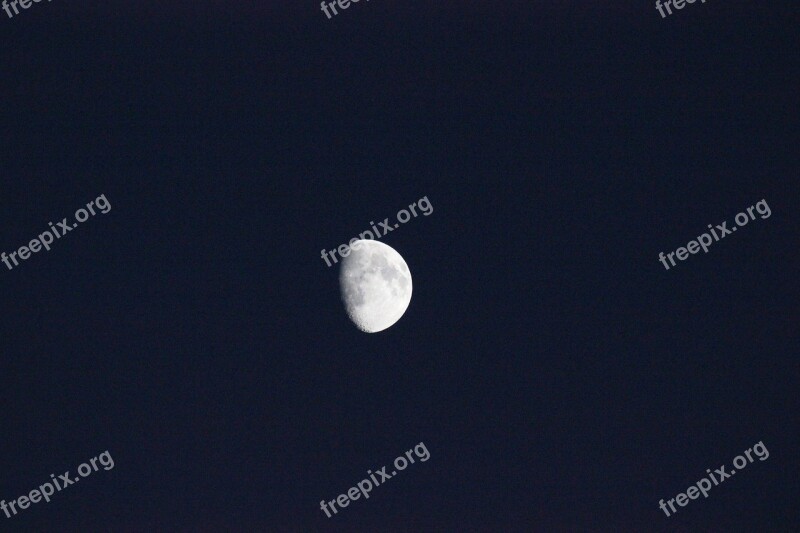 Luna Night Evening Free Photos