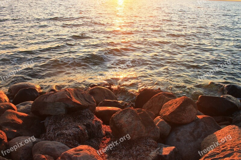 Baltic Sea Sea Sunset Gold Nature