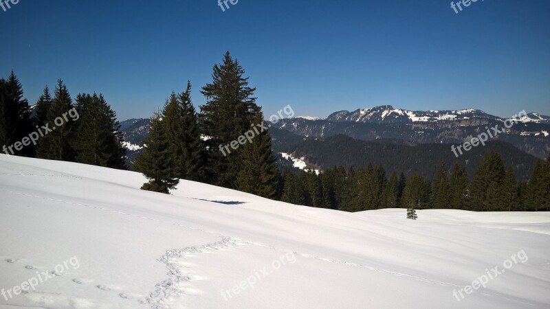 Snow Mountains Trees Conifers Sky