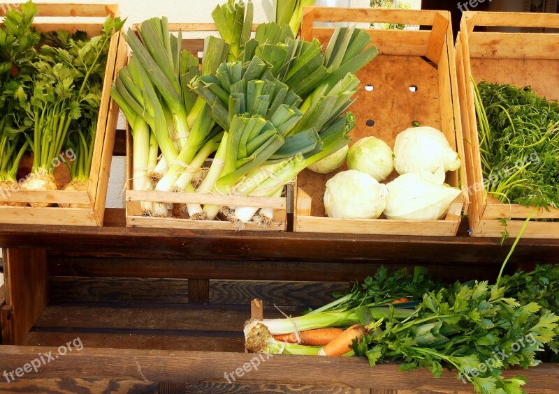 Vegetables Celery Kohl Soup Greens Kohlrabi