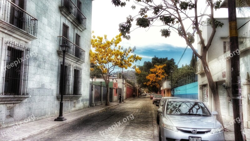 Street Oaxaca Colonial Free Photos