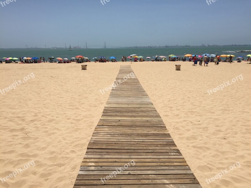 Beach Path Coast Sand Ocean