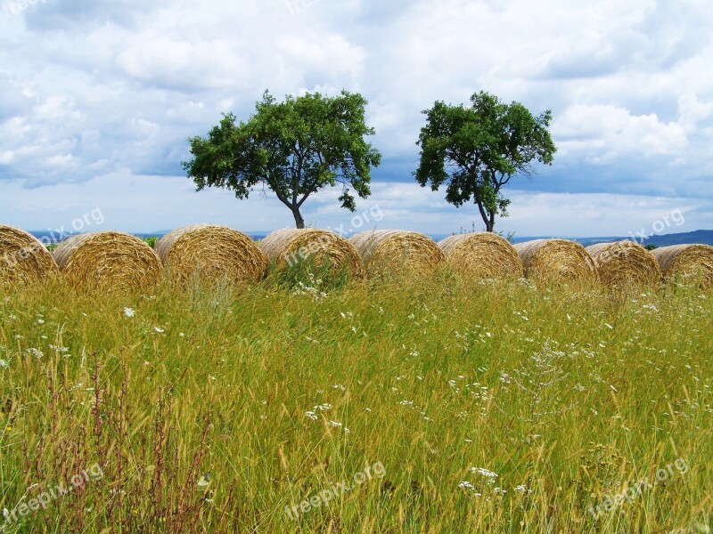 Straw Bales Rural Landscape Field Free Photos