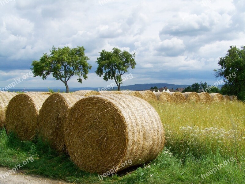 Straw Bales Potential Gabonaszár Rural Landscape Free Photos