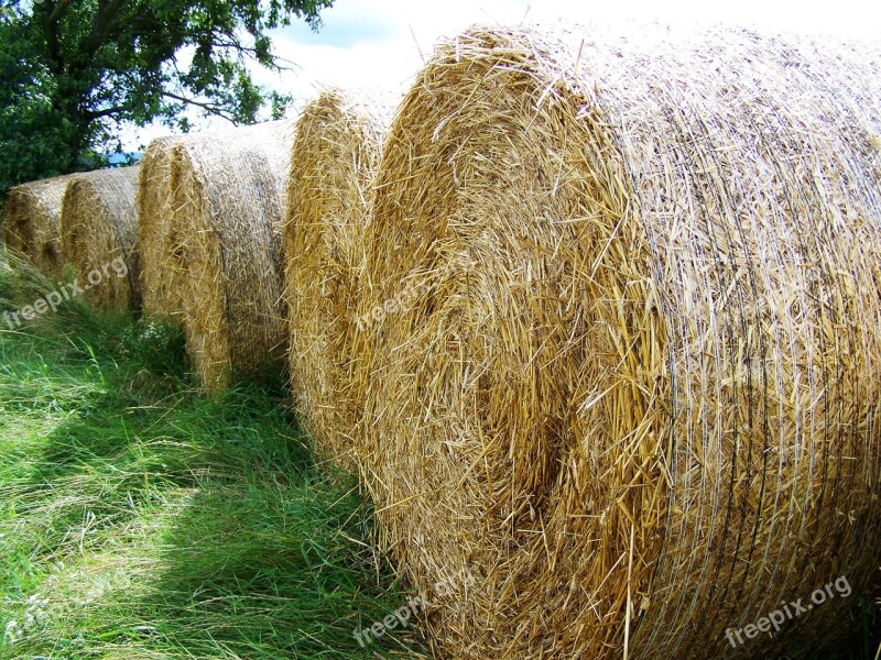 Straw Bales Potential Gabonaszár Rural Landscape Free Photos