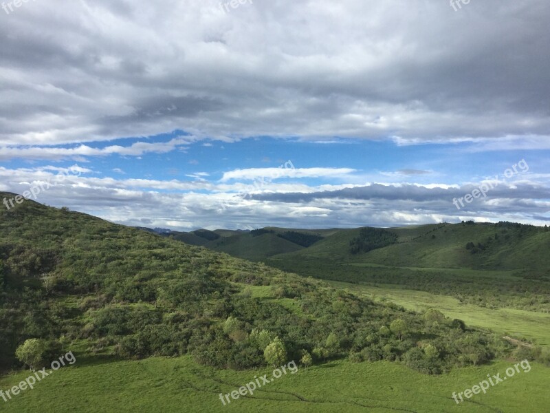 Plateau Sea Of Flowers Western Sichuan Free Photos