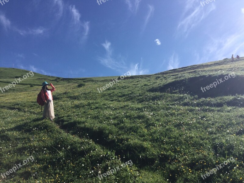 Plateau Sea Of Flowers Western Sichuan Free Photos