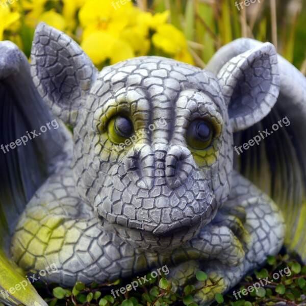 Dragon Figure Garden Free Photos