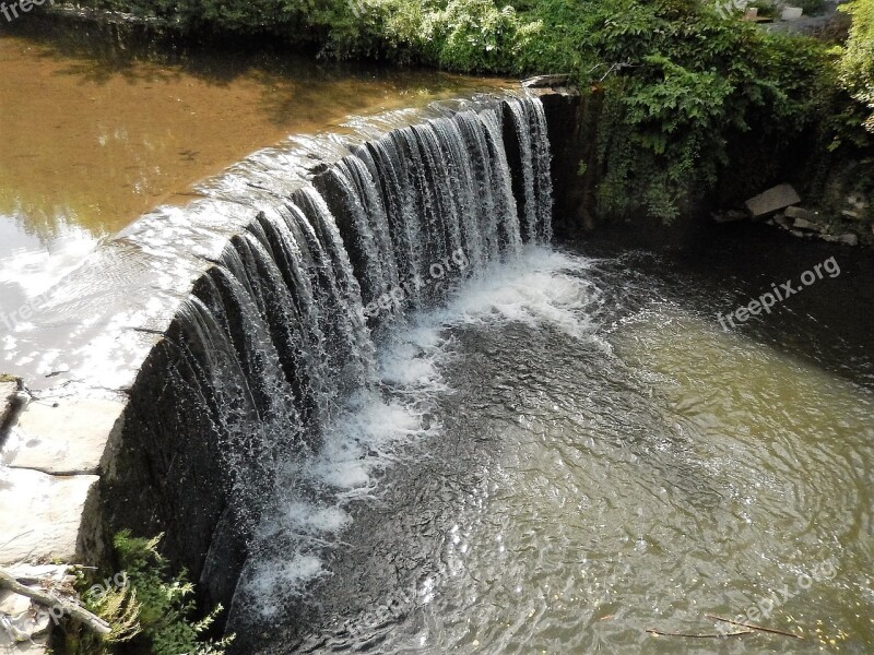 Cascade Water Plan Garden Free Photos