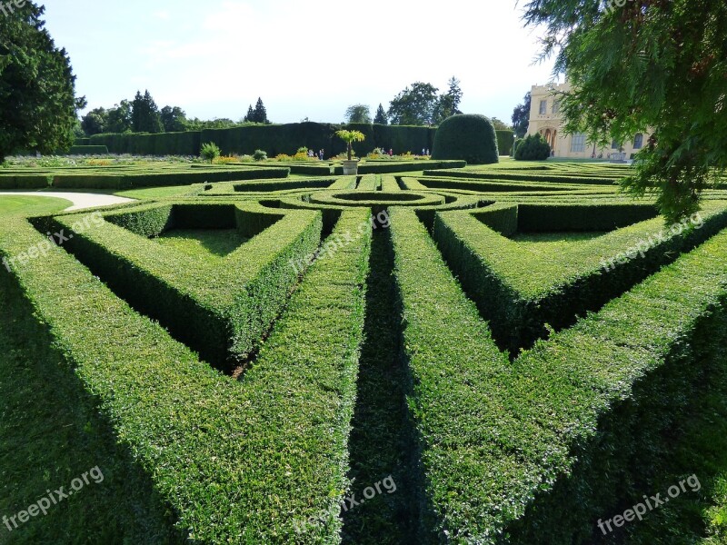 Maze Hedge Green Way The Path