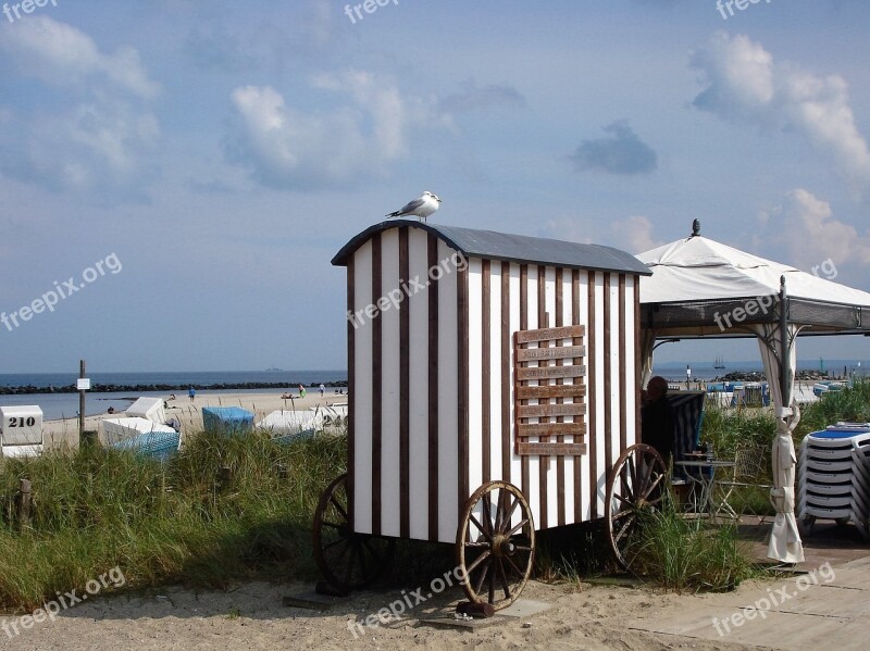 Baltic Sea Damp Beach Life Holidays Sun