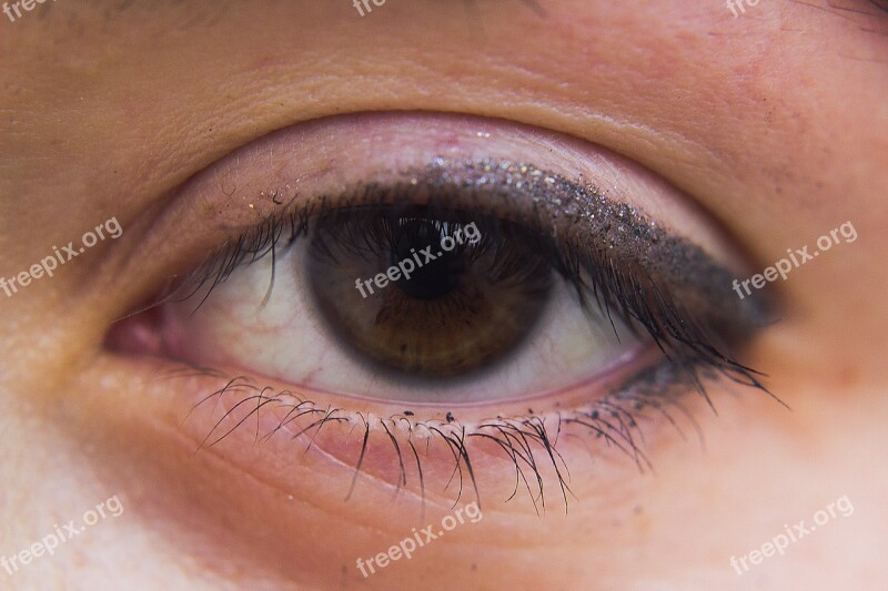 Eye Eyelashes Woman Human Close Up